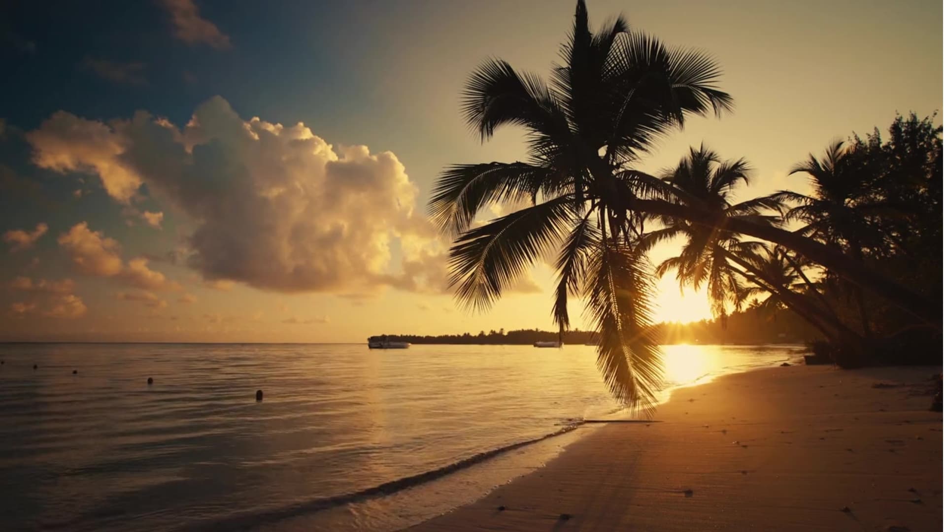 Quiet, design-led retreat interior